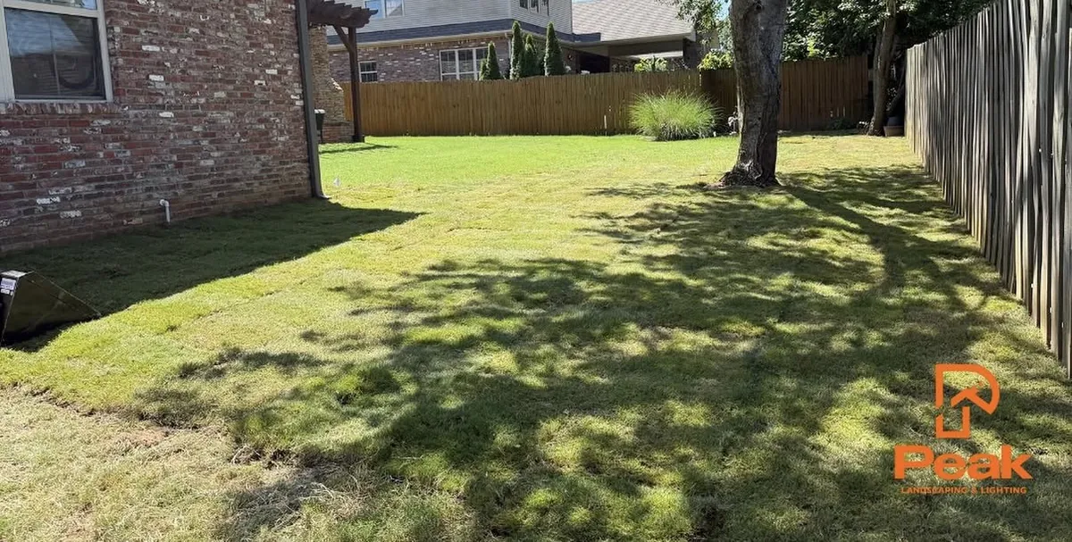 The same back yard covered in fresh green sod, shot from the same spot